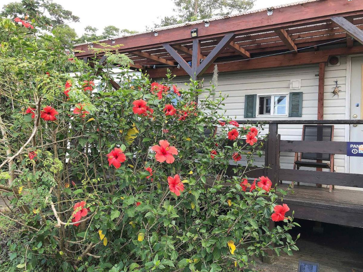 Panorama Ocean View Cottage Motobu Extérieur photo