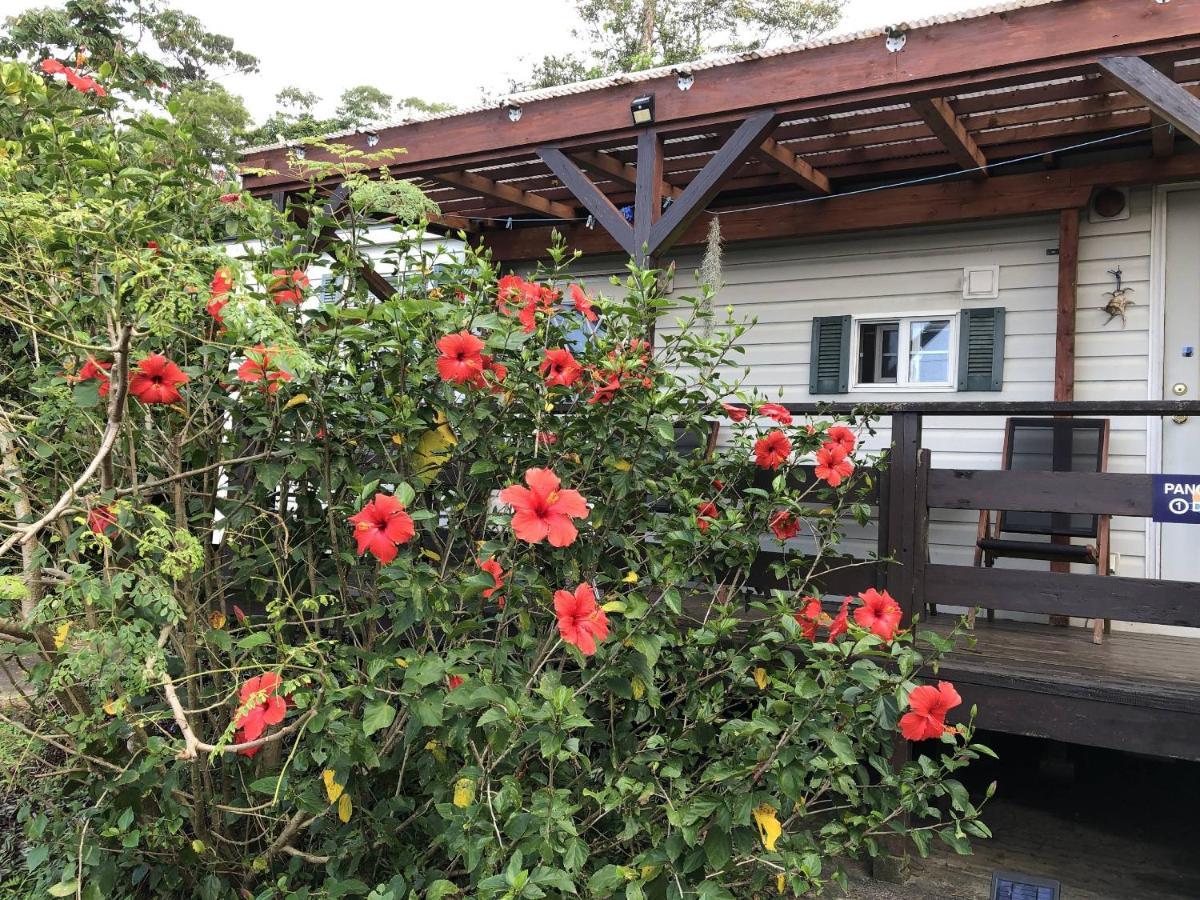 Panorama Ocean View Cottage Motobu Extérieur photo