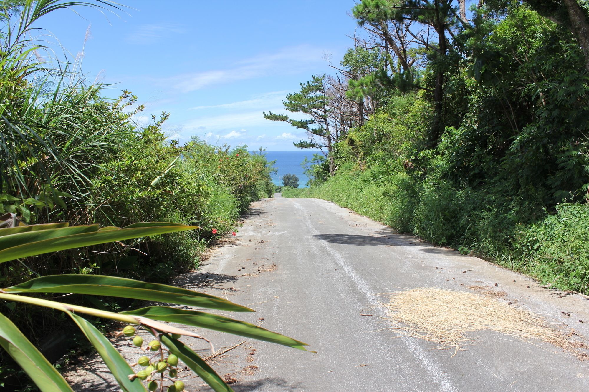 Panorama Ocean View Cottage Motobu Extérieur photo